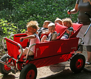 daycare wagons strollers