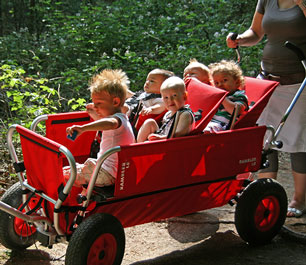 daycare strollers and wagons